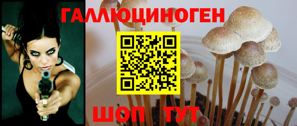 магазин    Вход с VPN  Керчь  Галлюциногенные грибы прущие грибы 